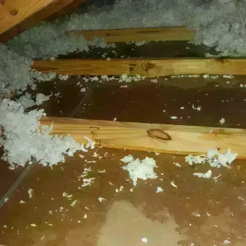 Attic Water Damage in Pacific County, WA